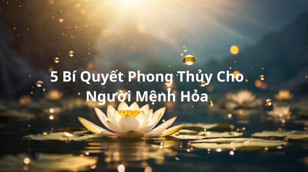 5 Bí Quyết Phong Thủy Cho Người Mệnh Hỏa: