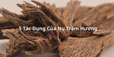 5tacdungcua-nu-tram-huong