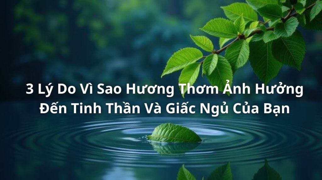 sức khỏe tinh thần