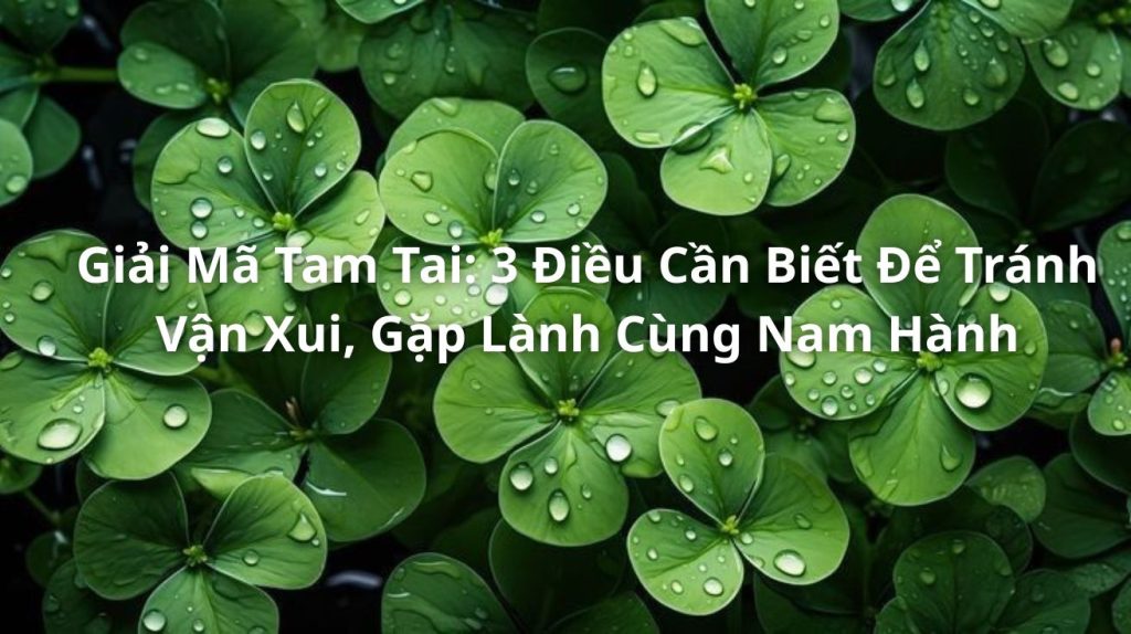3 Điều Cần Biết Để Tránh Vận Xui, Gặp Lành Cùng Nam Hành