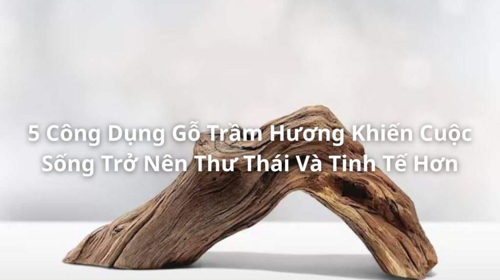 5 Công Dụng Gỗ Trầm Hương Khiến Cuộc Sống Trở Nên Thư Thái Và Tinh Tế Hơn